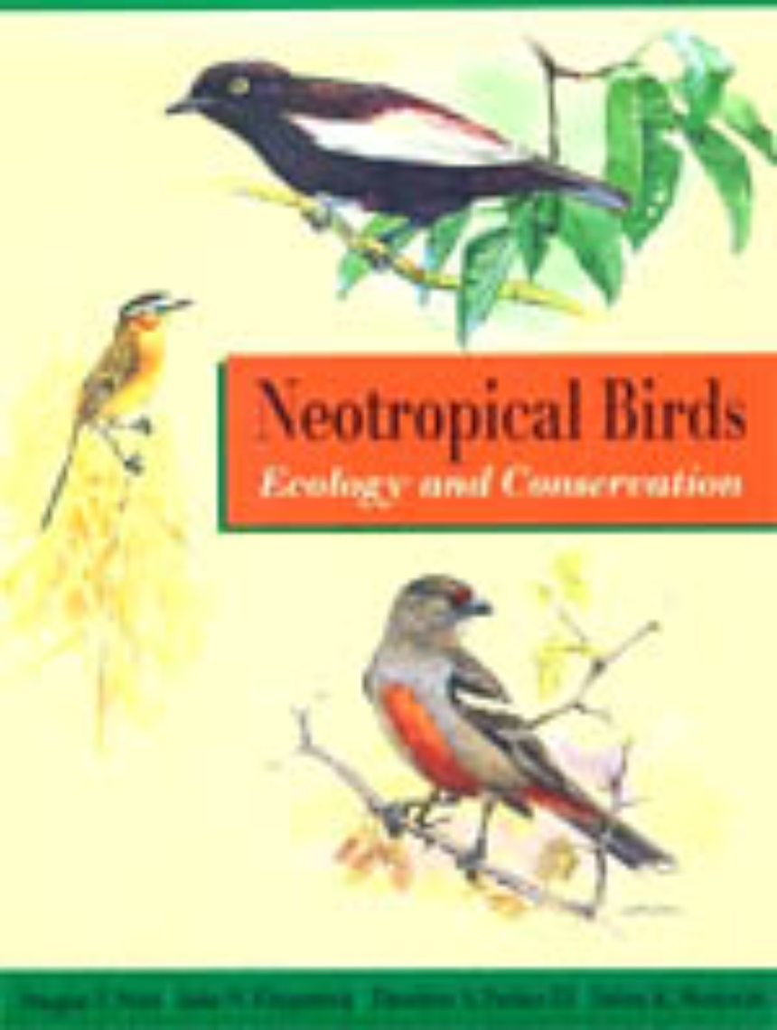 Neotropical Birds