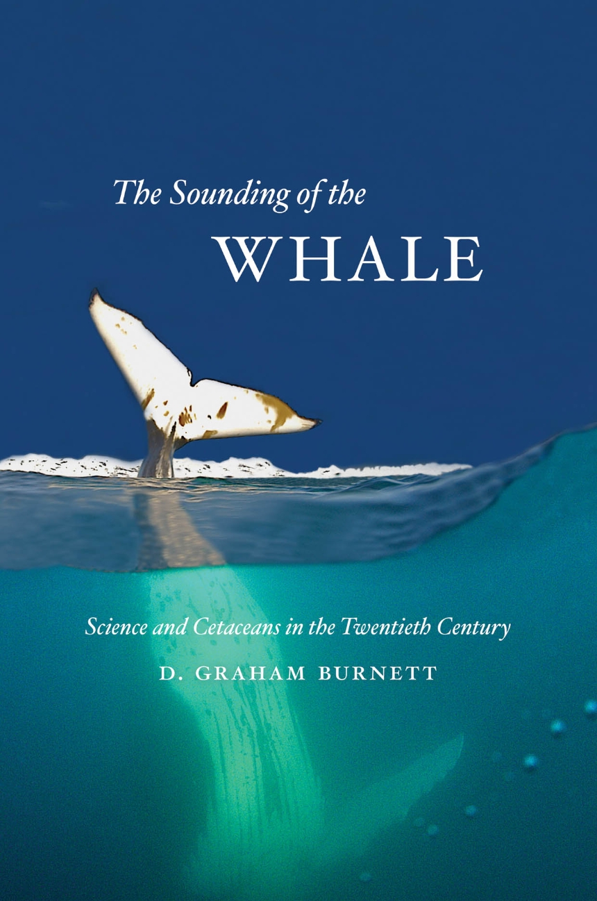 The Sounding of the Whale