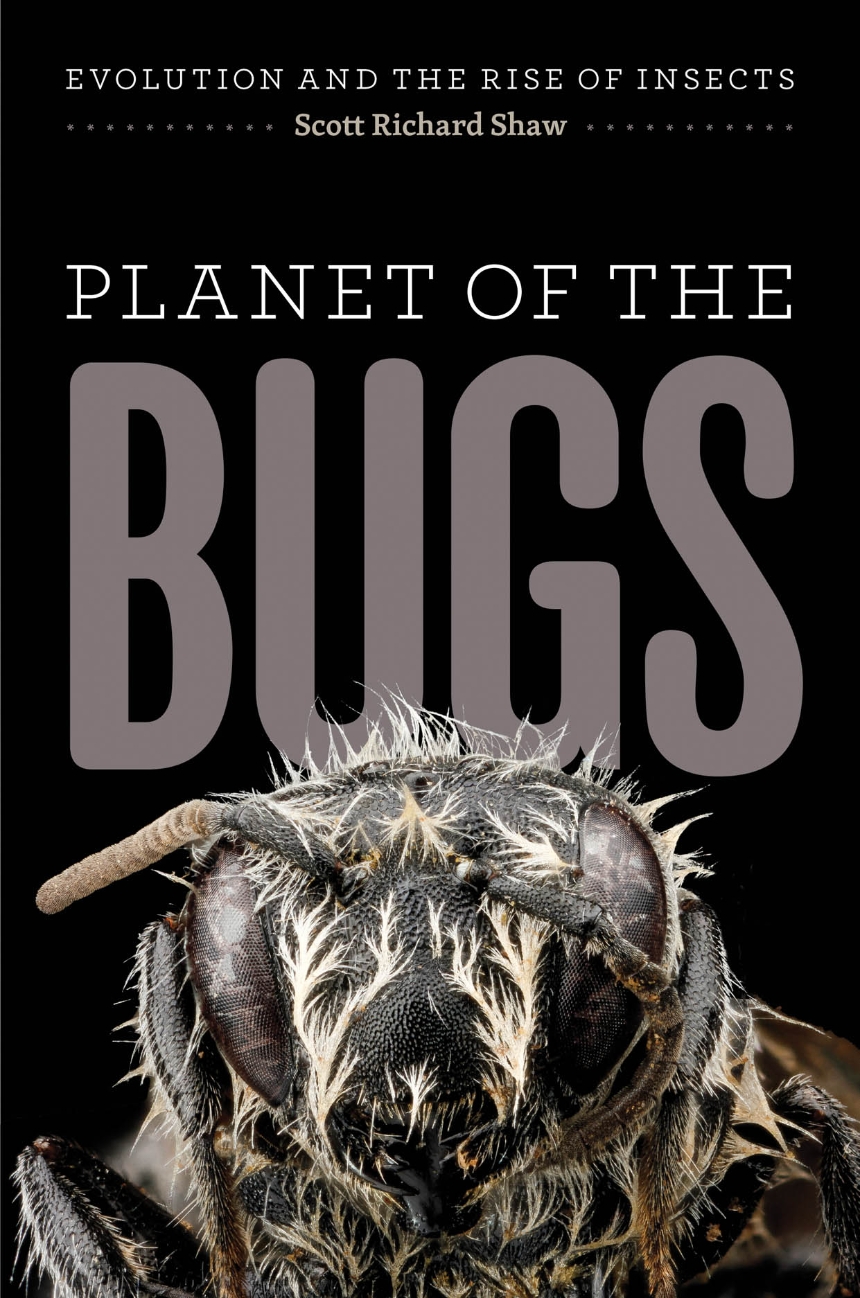 Planet of the Bugs