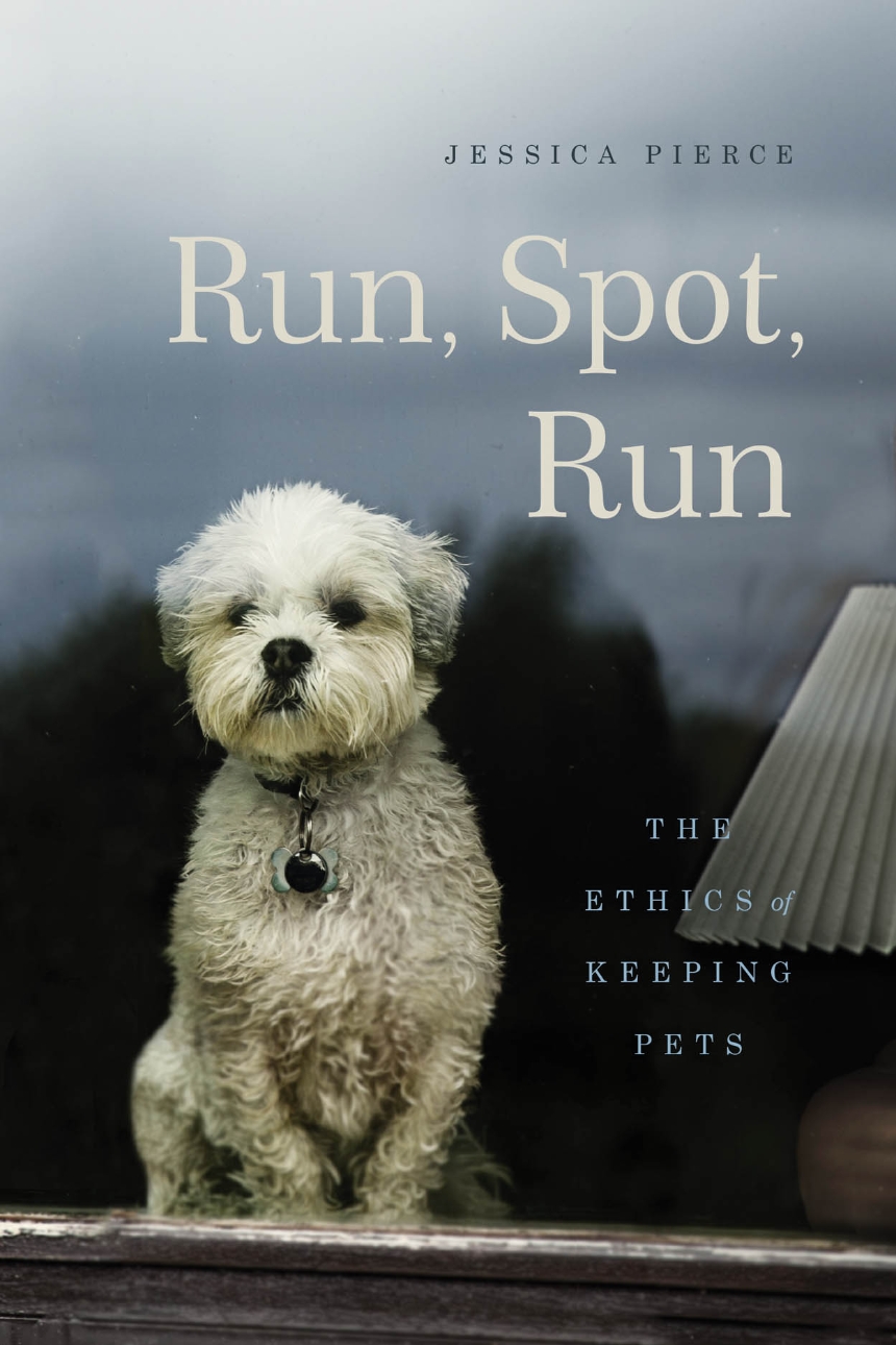 Run, Spot, Run