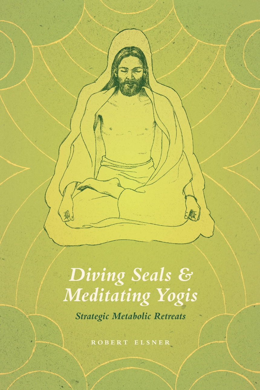 Diving Seals and Meditating Yogis