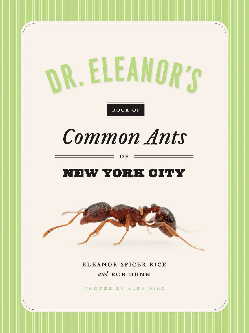 Dr. Eleanor’s Book of Common Ants of New York City