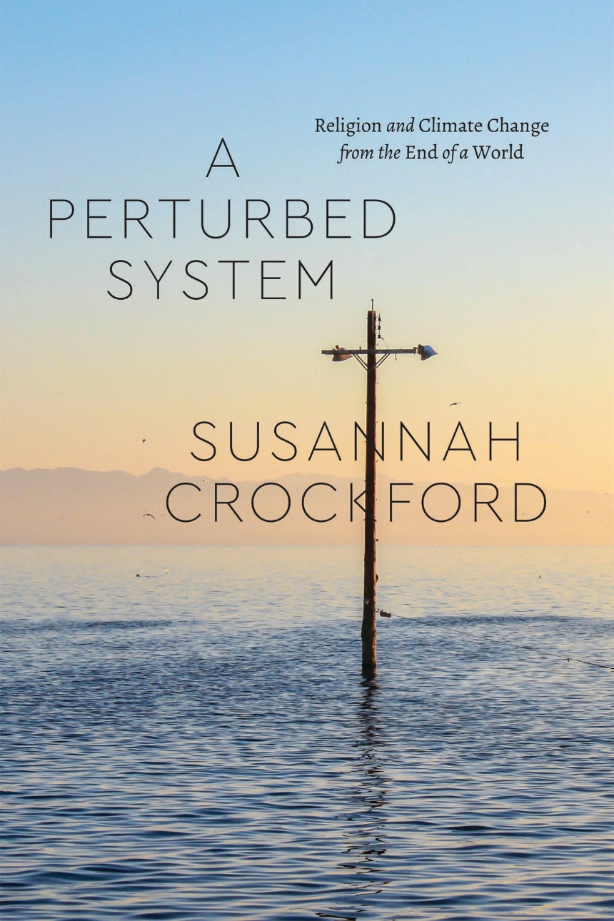 A Perturbed System