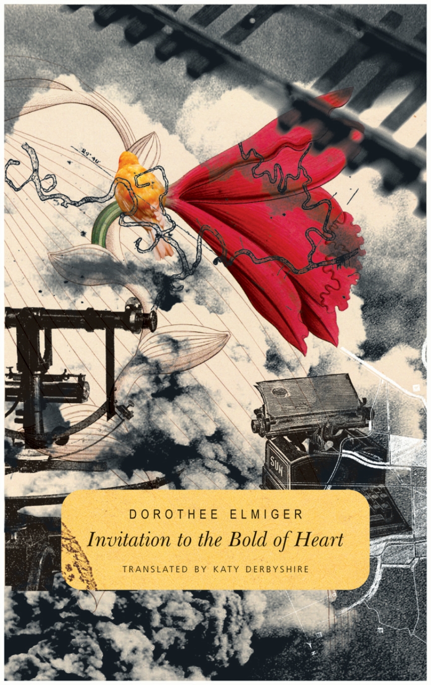 Invitation to the Bold of Heart