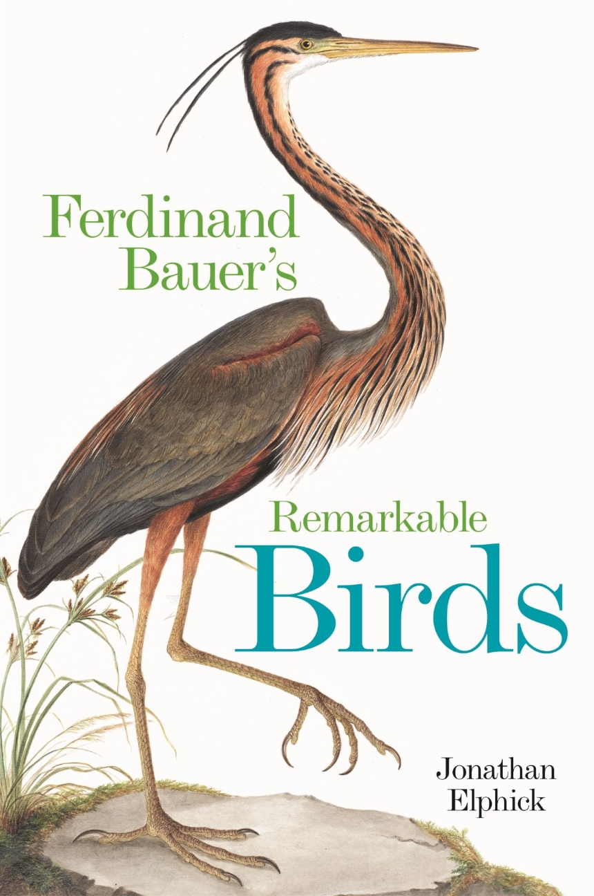 Ferdinand Bauer’s Remarkable Birds