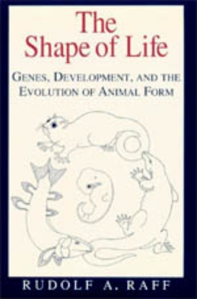 The Shape of Life: Genes, Development, and the Evolution of Animal Form