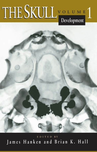 The Skull, Volume 1: Development