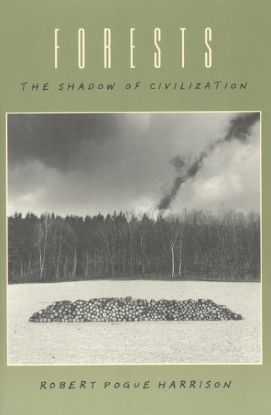 Forests: The Shadow of Civilization