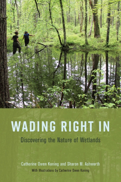 Wading Right In: Discovering the Nature of Wetlands