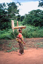 48. Sassandra sleeping on grandmother Amenan's back while she carries wood