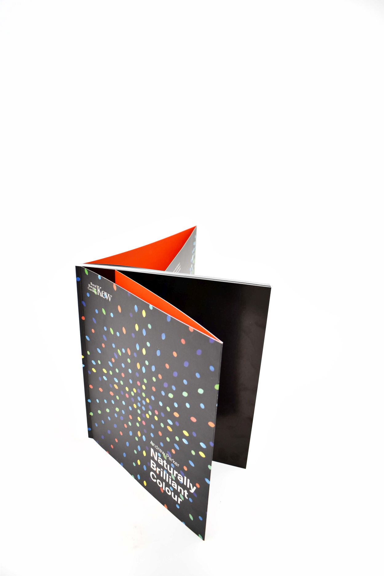 Naurally Brilliant Color 02 - click to open lightbox