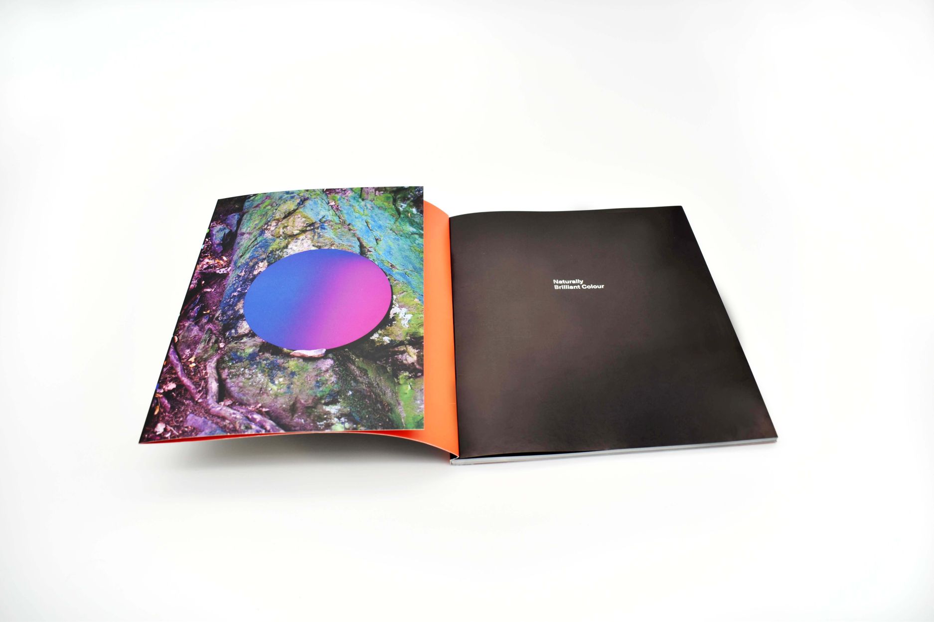 Naurally Brilliant Color 03 - click to open lightbox