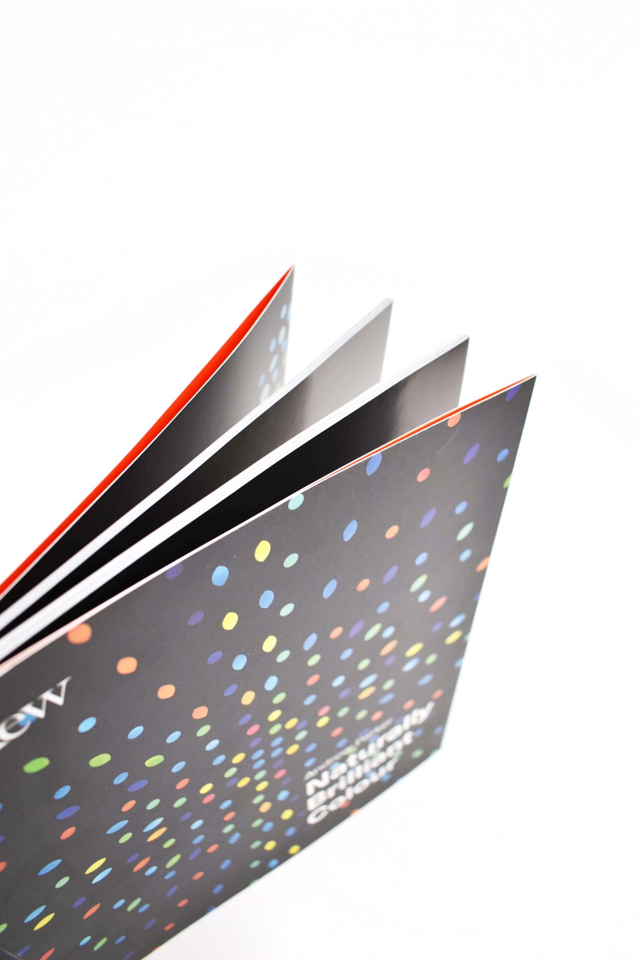 Naurally Brilliant Color 04 - click to open lightbox