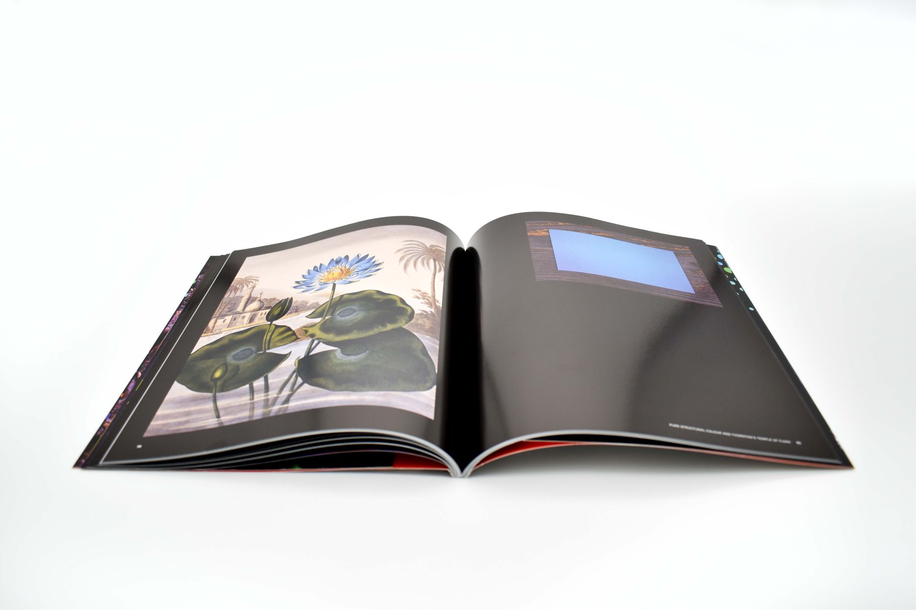 Naurally Brilliant Color 07 - click to open lightbox